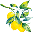 limone-sin